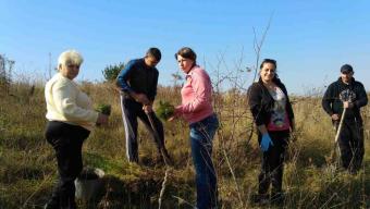 У Промені відбулась екологічна акція «Посади дерево»
